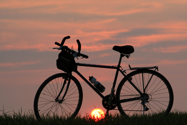 Gdzie na rower w Poznaniu? Najlepsze trasy rowerowe tuż przy ul. Garbary 102
