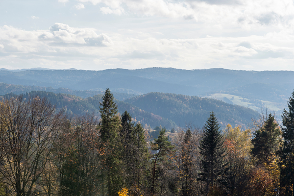 Wieża widokowa na Młynicy – miejsce, które musisz odwiedzić będąc w Świeradowie!